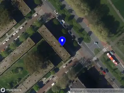 Allround cesim 's-Gravenhage