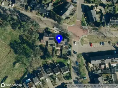 Buro-Feedback Dieren