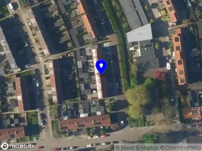 Onder hele hoge bomen