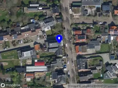 Browbar Priscilla's eyecatcher's