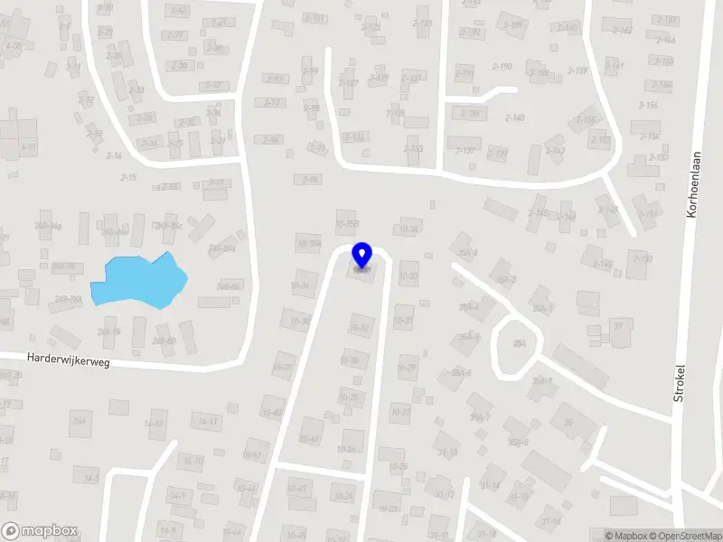 Nieuw bedrijf What's SUP