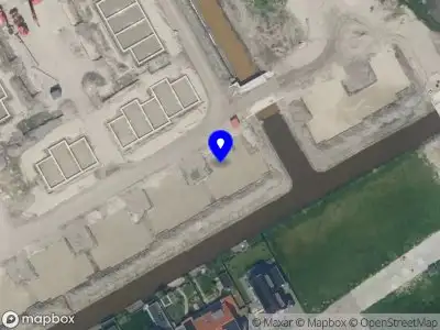 The financial monkeys