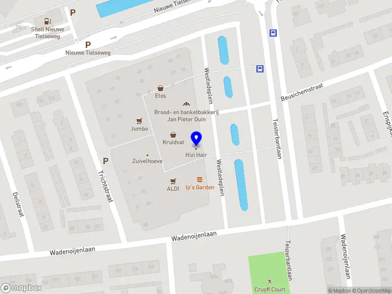 Nieuw bedrijf Hizi Group B.V.