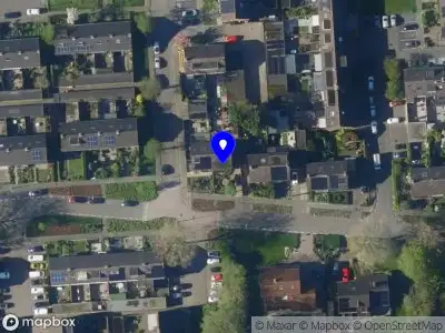 Nieuw bedrijf Decor floors and walls