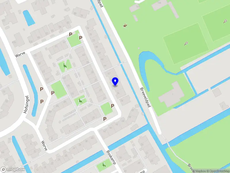 Natasja van den Ende