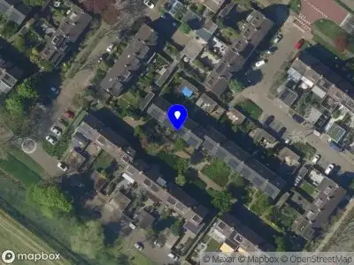 Nieuw bedrijf Prikkels