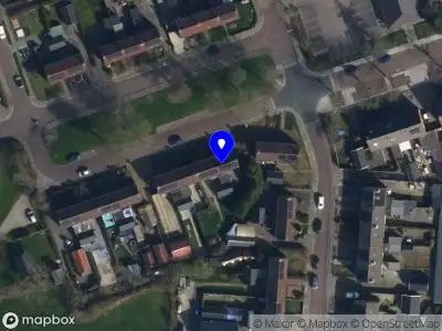 hondenschool kynokanjers Damwâld