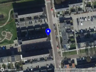 Van Belzen Movement Promotion