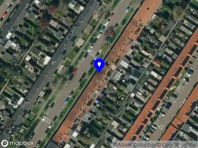 Korstjens Dynamiek Arnhem