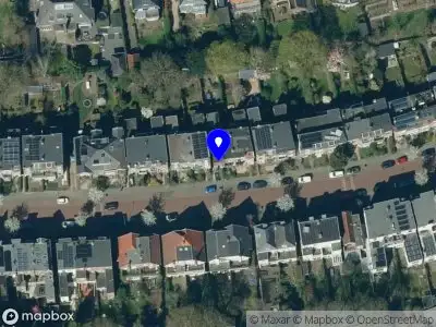 Insees Arnhem