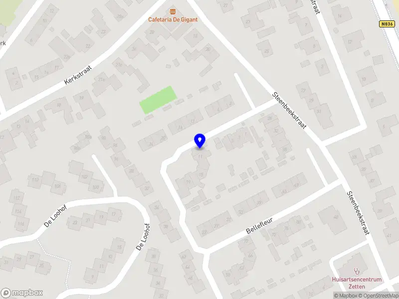 Leontine van Vliet pencil artist