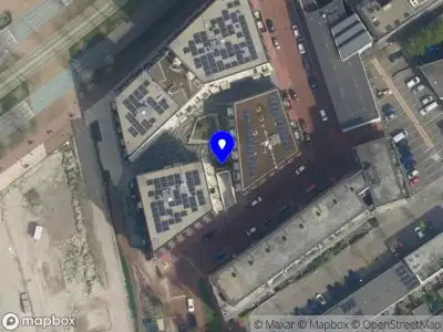 Brotherhood streetwear