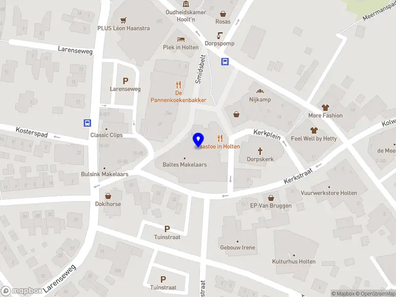 Stichting ViaVie Welzijn Holten
