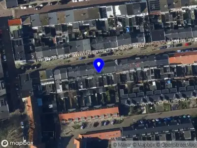 Daphne Nienkemper Den Helder
