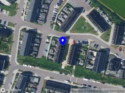 Buikfijn Elburg