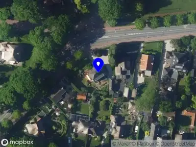 Mila Aleman Solutionary Leadership