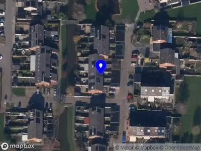 The Little Musthaves