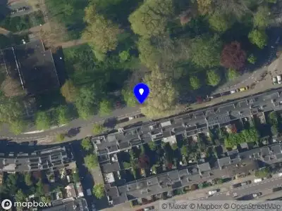 Mister Black Management B.V.