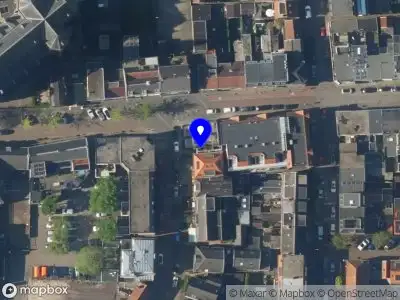 CTW Tuin- & Boomverzorging Maarssen