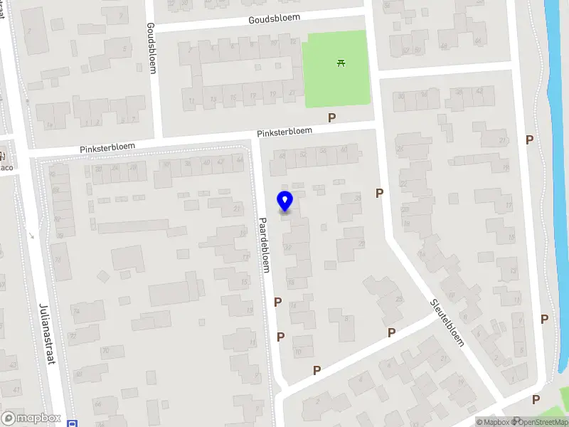 Nieuw bedrijf Petpat Photography