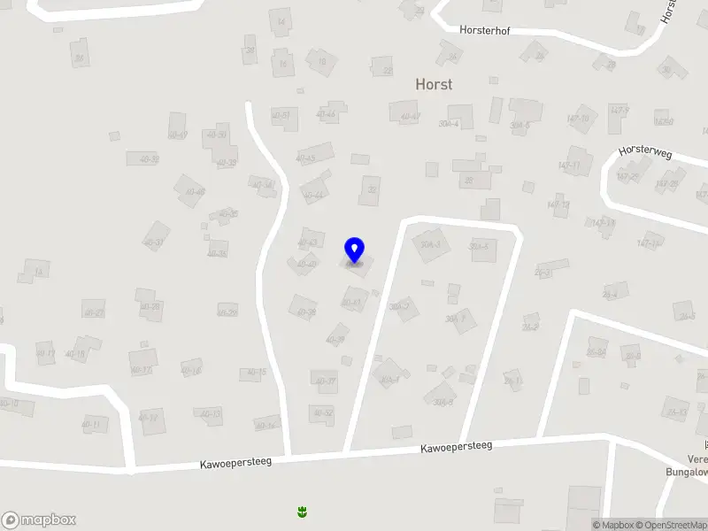 Willy van Brussel Massagetherapie