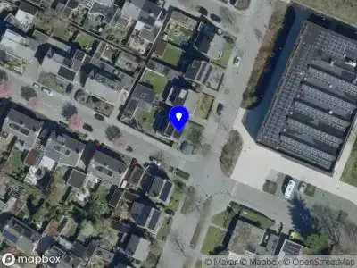 van Balkom pigs B.V.