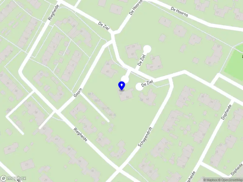 L.G Reparateur van Rieten daken.