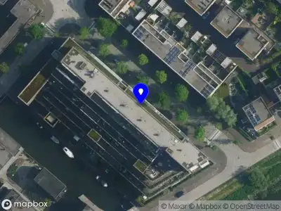 FancyCat Amsterdam