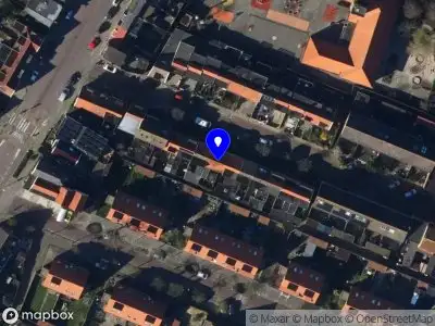 Little Presley's Tattoos Den Helder