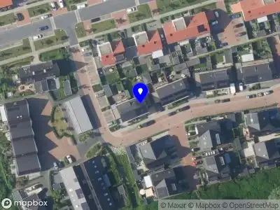 Betula Bliss Zeewolde