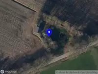 CB Boomverzorging & Groenprojecten