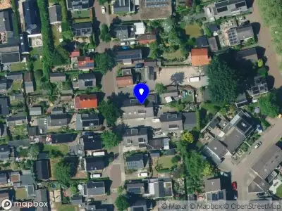 Tender Love and Flowers