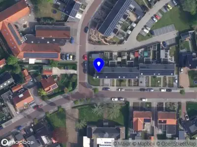 Daphne Capello Freelance Journalist