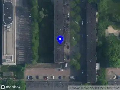 Nieuw bedrijf Femme Feline