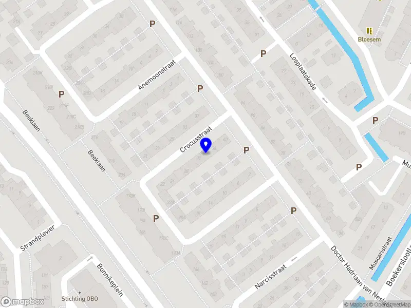 Parisa Hair & Beauty