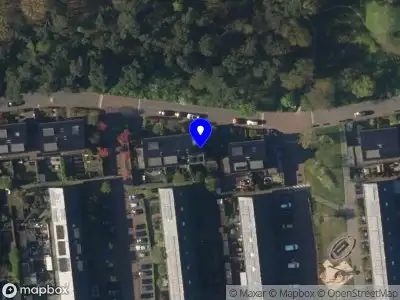 Management In Complexity