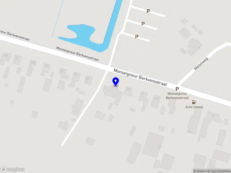 Stichting Eendenkooi Sompen en Zooislagen