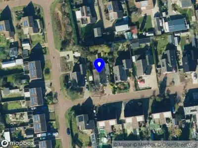 Roodvoets Vertalen Darp