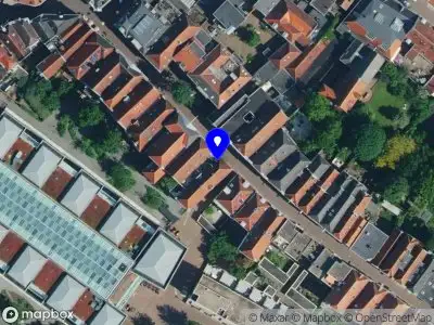 Nieuw bedrijf Sabelleeuw electro