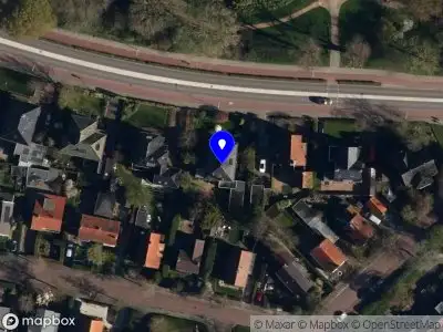 Maeike van der Lei Management