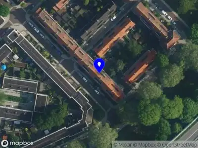 Beeldend Kunstenaar Consuela Veira