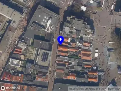 Bo Tolk Nederlandse Gebarentaal