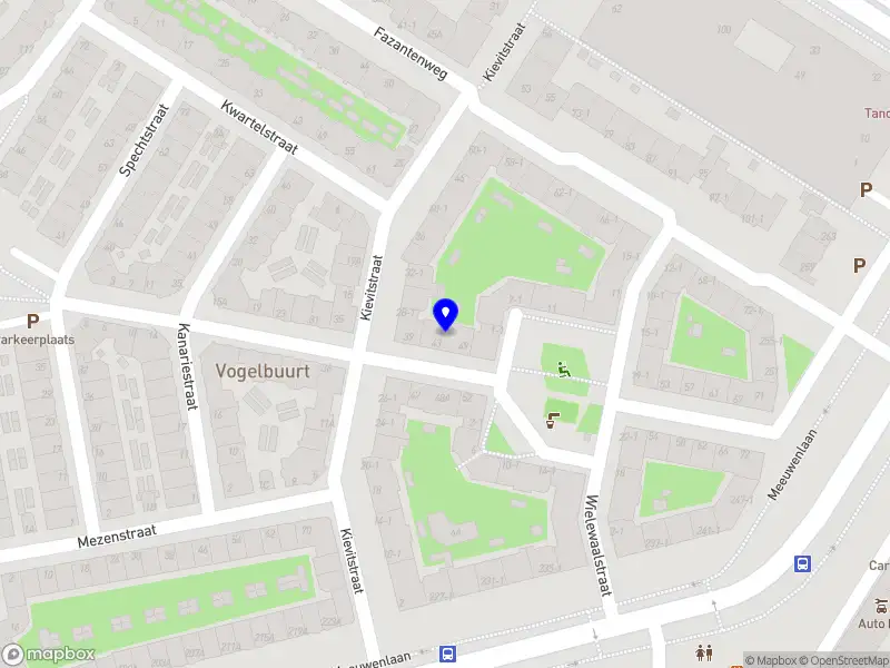 Maruja Bobo Remijn Amsterdam