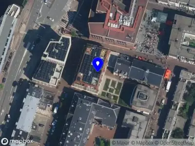 Suzanne Elisa Advies & Analyse