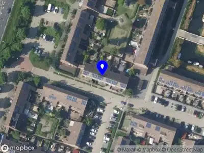 The decorating queen