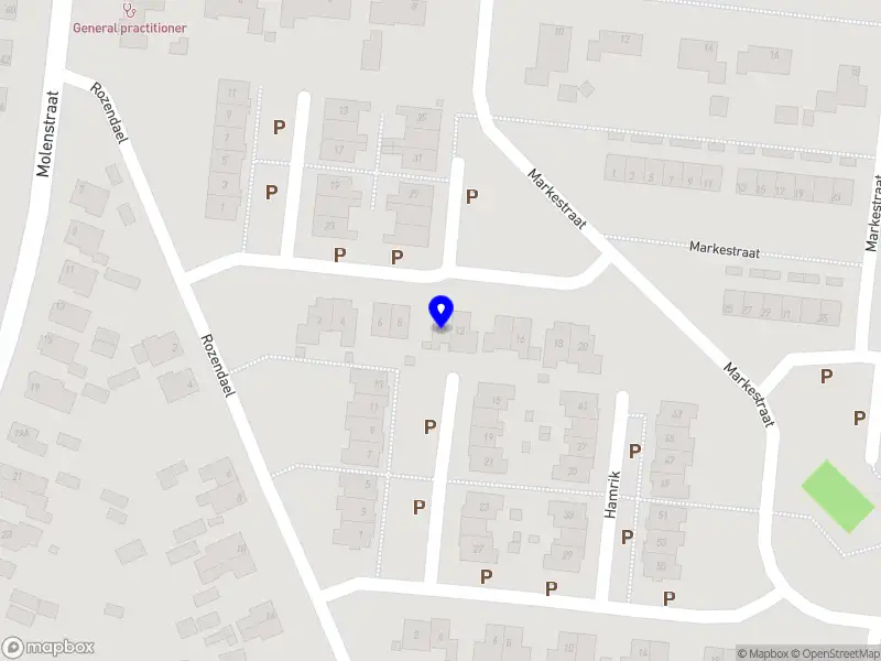 Digi Eyes Camera Beveiliging