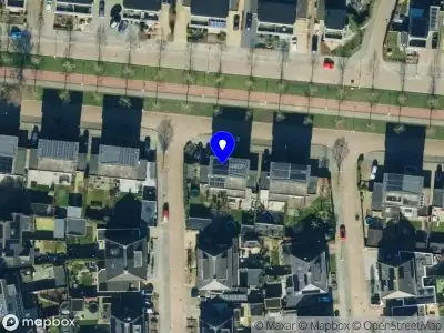 Nieuw bedrijf Met groene ogen