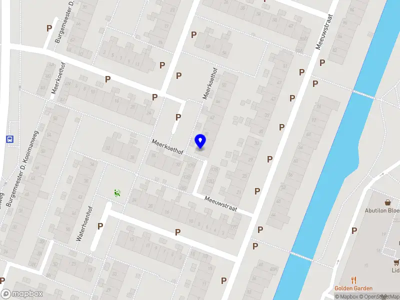 Nieuw bedrijf Animo Consulting