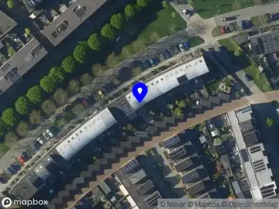 Hornet4BI & Consultancy