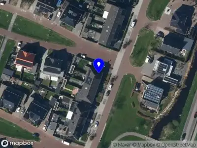 Young Business Professionals